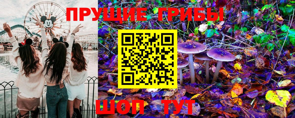 Псилоцибиновые грибы Psilocybe Озёры